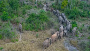 01d5c106f5e71934808682bf5a0667f1ba4caf2c90bffc42ea53a0a60e147d5f main