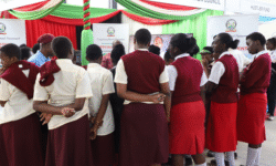 1761141725620 qaepu e0195731b629fa6e1a4da48d79d676cfd5a5468e901eb1cfb40b72d6834589cd