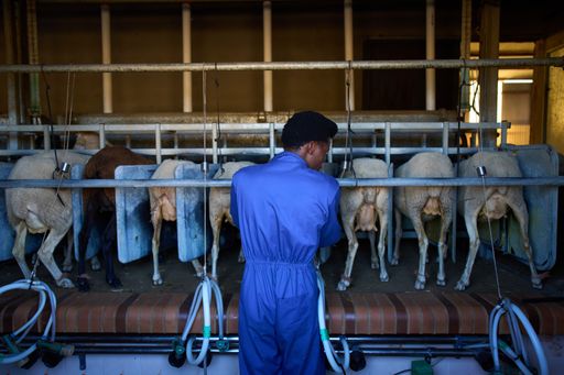 1761388283780 fdilzx aba3fde7f046d5831b82b82c707e99391decc9844a29a424ac52a7a9de0d505d