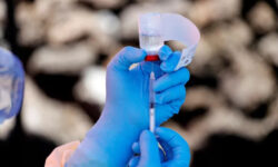 19dc465daeccbfa9fa9f550711e7391d49ec5d2c618ecfa24c5e889470f6a93d main