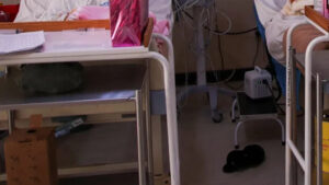 2025 07 09t165912z 26608208 rc2yifab163k rtrmadp 3 zimbabwe health main