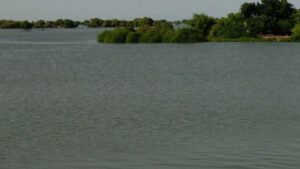 2025 09 15t141502z 1790393468 rc2asga9eukh rtrmadp 3 asia weather southasia main