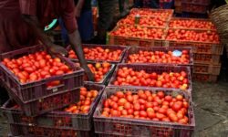 2025 10 15t161118z 274164658 rc2pveaq17ve rtrmadp 3 nigeria inflation