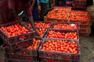 2025 10 15t161118z 274164658 rc2pveaq17ve rtrmadp 3 nigeria inflation