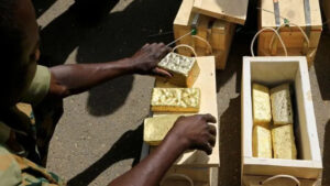 2025 10 21t141505z 1 lynxmpel9k0n6 rtroptp 3 sudan politics emirates gold main