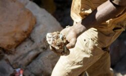 24b8e71f5c6bad95c6ca3feae4b7287929e3f6e2f25dd426dd0e1715a9d89aae