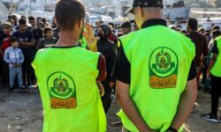 6d19e3390dce76e700b927f5317ea1fadb94e9046bf243bb5496b482a9659763