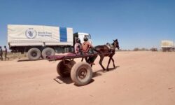 7a5877e7aa05db45690402c5a310a1582b7e0dd7a7b3af1e1bbfbb46362e3507