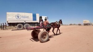 7a5877e7aa05db45690402c5a310a1582b7e0dd7a7b3af1e1bbfbb46362e3507