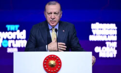 85e0de18103441a86b5246cf0491a31144624aa175fd45dc83b8057e4e069733