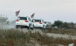 d9c934fab443aec02a59984ee8e6159f8d8c46b160c9a4c58b8d4833254ece24