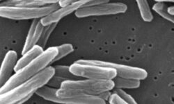 global vaccinated children 46166