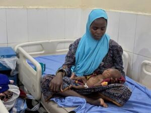 nigeria u s funding 68381