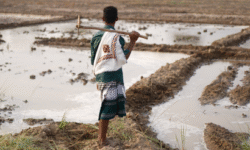 11051c3be61aa76299f0ee7d584afbdf64fdc6136efe9b1ea6277201ca49f7f6