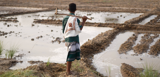 11051c3be61aa76299f0ee7d584afbdf64fdc6136efe9b1ea6277201ca49f7f6