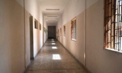 1762938528624 clangi 8454c0b8fe4a5fe9eb3dde8db0a2b396efbc07a8c1065deedbf556eee2e1b1ac