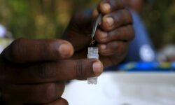 2016 03 21t120000z 432810344 gf10 4189 rtrmadp 3 health zika forest