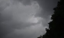 2025 03 16t002602z 266804762 mt1usdaynetlp1517075001 frtpip 3 usa today network