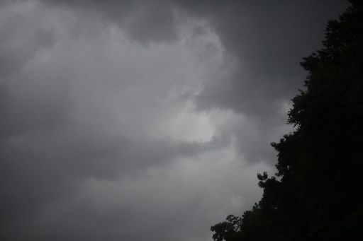 2025 03 16t002602z 266804762 mt1usdaynetlp1517075001 frtpip 3 usa today network