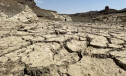 2025 07 15t081800z 164154367 rc2vcfa8h8yi rtrmadp 3 yemen climate drought main