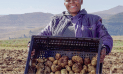 2eb4119b71fa1da5f40aef9d782ad88afa9a3c427cd066df9ff069387f4aa356