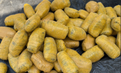 31080e2bbdaf70208c7b47bea61d62551a6a0e2fcb2f83116275f8698263f10a