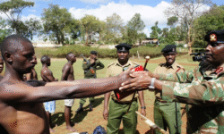 3abe85df316ec5e73cbb3f3902e0ec9aa6d28c41c52b2e619c3b47c07f7331b8