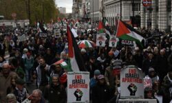 7c0ddf29106bf5f3e1f1dfb2659a50a66113a1b01629cb020e3e6eedab94f5d1