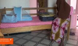 Ekran goruntusu 26 11 2025 125348 information.tv5monde.com