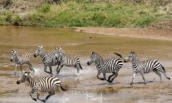 b5fa6d5bbf0e5b81aefbc2e20cff34777bfbebef8b10ba228ffdbd7058afc53d