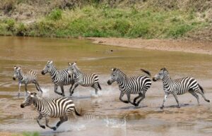 b5fa6d5bbf0e5b81aefbc2e20cff34777bfbebef8b10ba228ffdbd7058afc53d