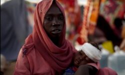 ddb88703b8b1b3f7dc3e565ba0618003f352df096a3df52ca9a779f9fc6c51c3