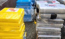 e0b5b4d93c1b06005229e58cd511fe2241e52370db01e15c7dd57c50a452146c