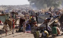 e8a0a673036fc148aaf497be15f6aac6584f728ec4d4c05da95a4c537be61b77 main