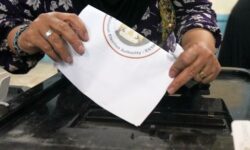 egypt senate election 28605