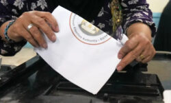 egypt senate election 28605 main