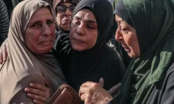 13528820 1763903520 e1764709794894