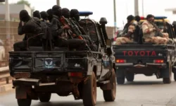 1764615830 2645 large