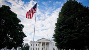 1765977137876 alydxm ecac2c7d4a199b533a0b2479f186f65c6e7b723a4be49b132a5d66f5398f8b0c main