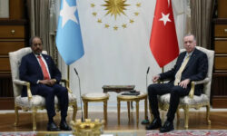 1e669187 560b 412a aefd 88e00910b5c8 main