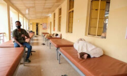 2025 11 13t152739z 1 lynxmpelac0uh rtroptp 3 sudan politics outbreaks main