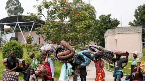 21566120 562d34c3 521f 4829 8ce8 a7c68c9a90b7 480 main e1765782497313