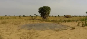 3dbf42f0 e26e 11f0 b67b 690eb873de1b.jpg