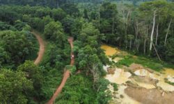 4e61c1c47dd6d53ae7b77d2b2404db4d3530f081abf82ae8b3ede1a17778ee6f