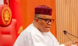 508132eb 8a2b 402d a935 9f70741039e5.jpg e1764694875536