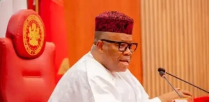 508132eb 8a2b 402d a935 9f70741039e5.jpg e1764694875536