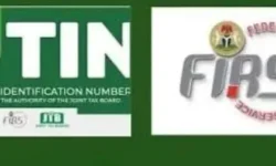 684703d0 da87 11f0 a8dc 93c15fe68710.jpg e1765913238747