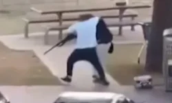 84e68690 d91b 11f0 9ed5 012fa69819f6.jpg e1765991397787