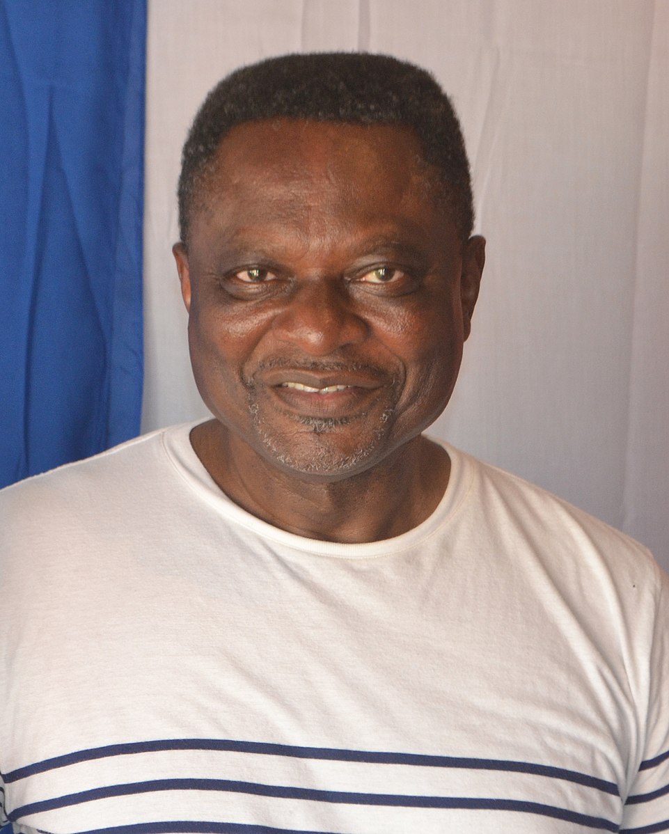 Anicet Ekane Cameroonian politician