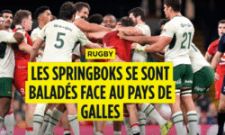 Ekran goruntusu 2025 12 01 120856 1